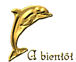 AUREVOIR - à bientot dauphin or